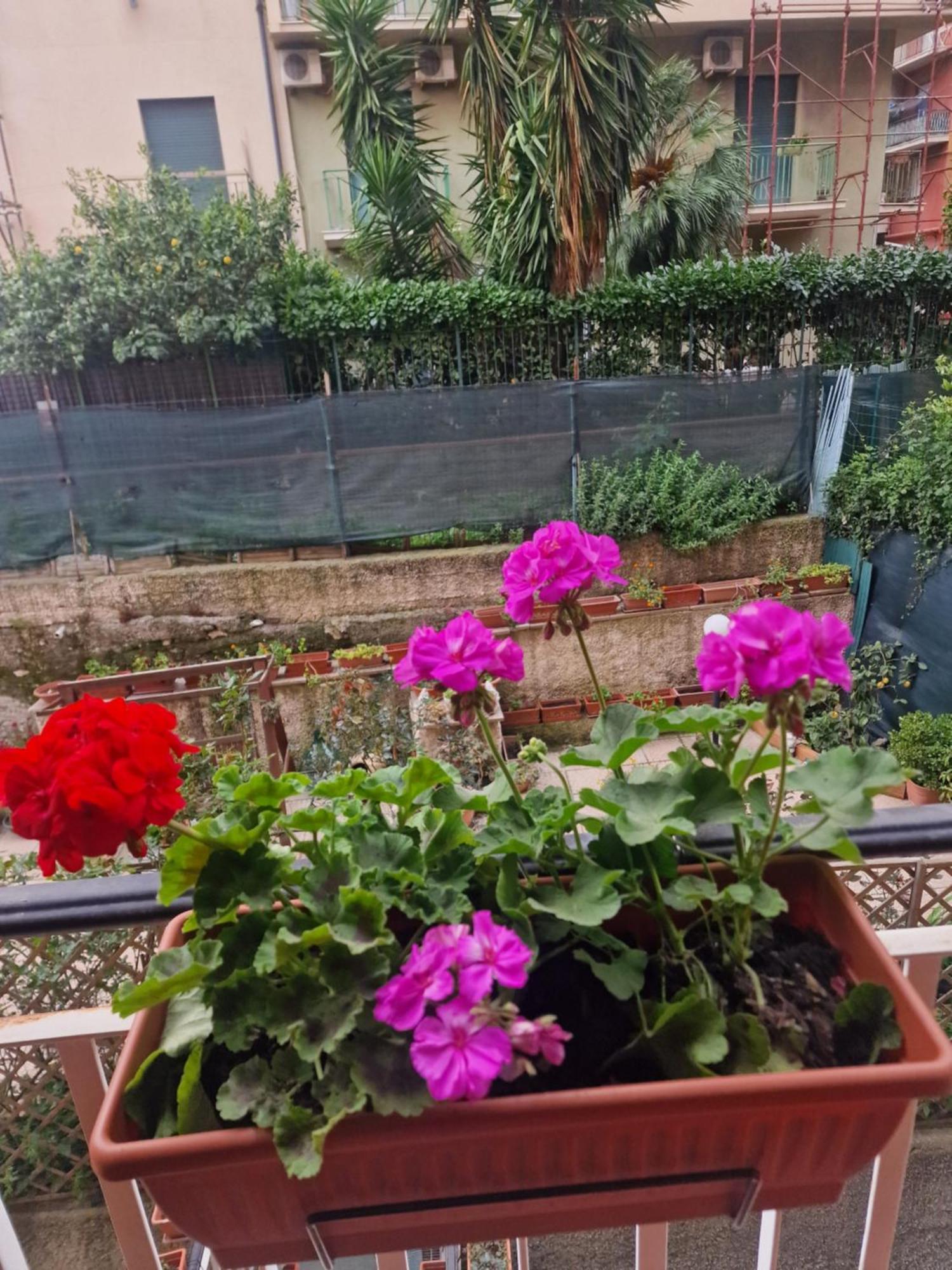 La Perla Bianca Appartement Genua Buitenkant foto
